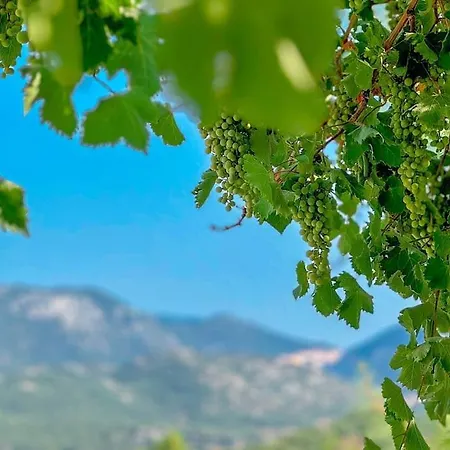 Appartement Doğa Içerisinde *